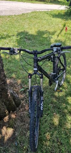 Cube - CC AMS PRO