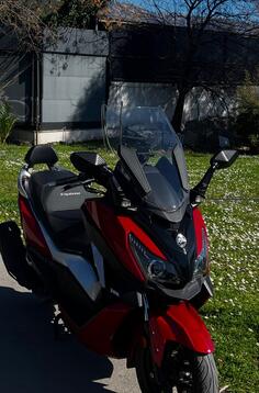 SYM - Sym crusym