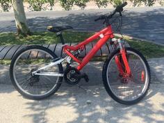 BIXS - cross