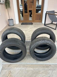 Sava - Eskimo hp2 225/50 r17 - Зимняя guma