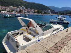 Sea ray - sea ray26