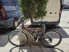 Capriolo - Diavolo 600