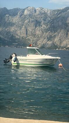 Campion - Cortina  480