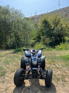 Bashan - BS200S