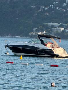 Sea ray - crusiers expres 340