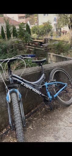 Capriolo - MTB
