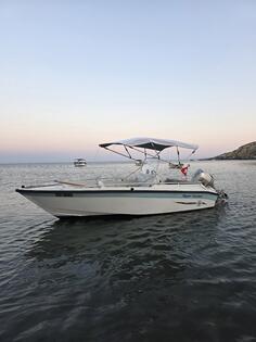 Sunny boat - Flipper SunFish