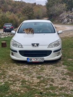 Peugeot - 407 - 1.6 hdi