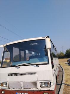 TAM - Autobusi