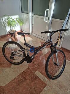 Capriolo - ctx 260