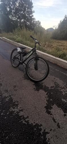 City Bike - Pegasus