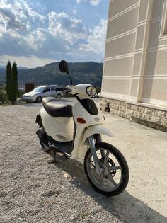 Piaggio - liberti