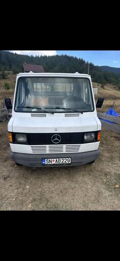Mercedes Benz - Mercedes 309