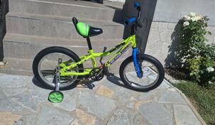 BIXS - 16