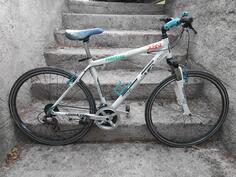 Polar - forester