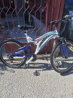 Capriolo - ctx 240