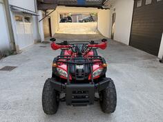 Bashan - ATV 200AU-11