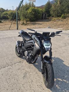 CFMoto - 300NK