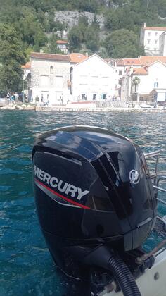 Mercury - 115hp EFI  - Motori za plovila