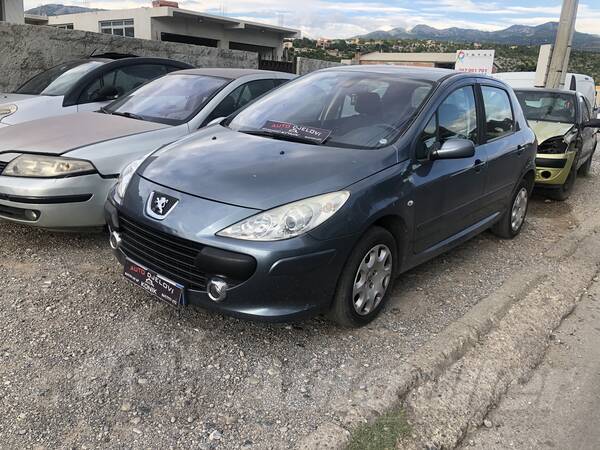 Peugeot - 307 1.6 hdi 66 in parts