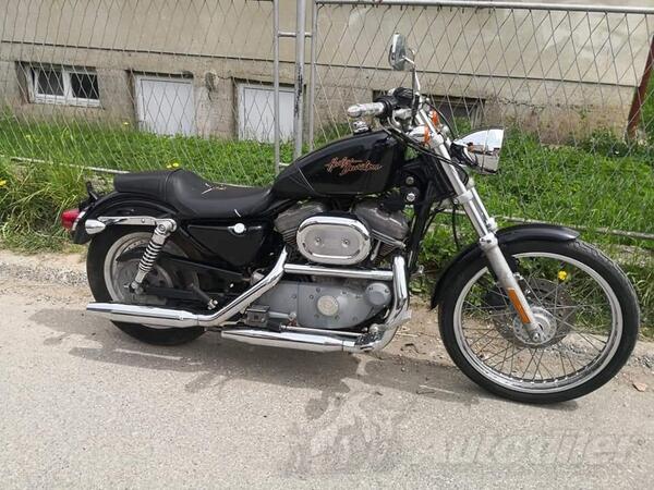 Harley-Davidson - custom sportstar 883