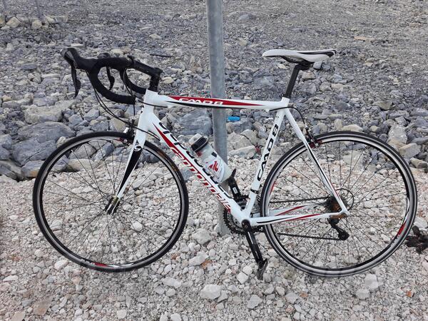 Campagnolo - cannondale cadd 8