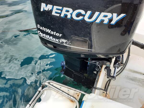 Mercury - Optimax DFI 225 - Motori za plovila