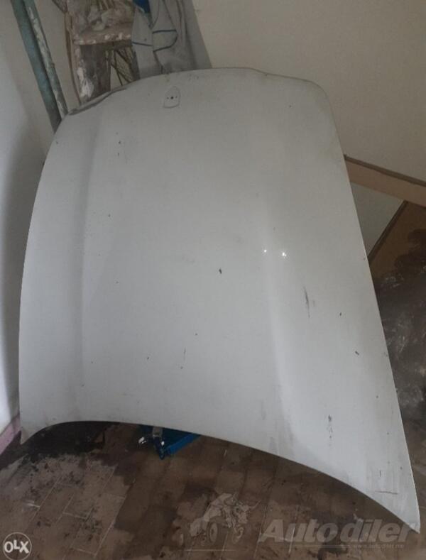 Haube