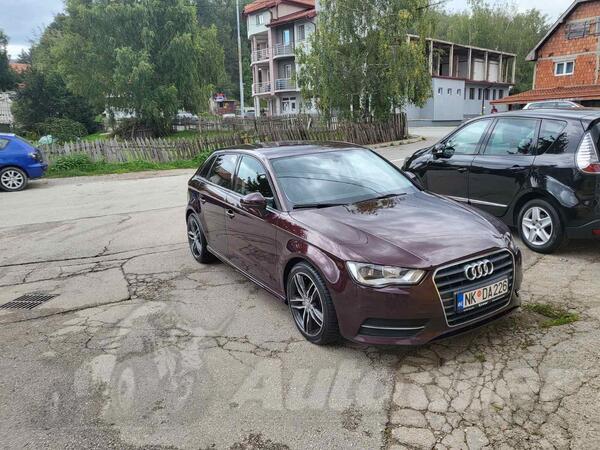 Audi - A3 - 1.6 TDI