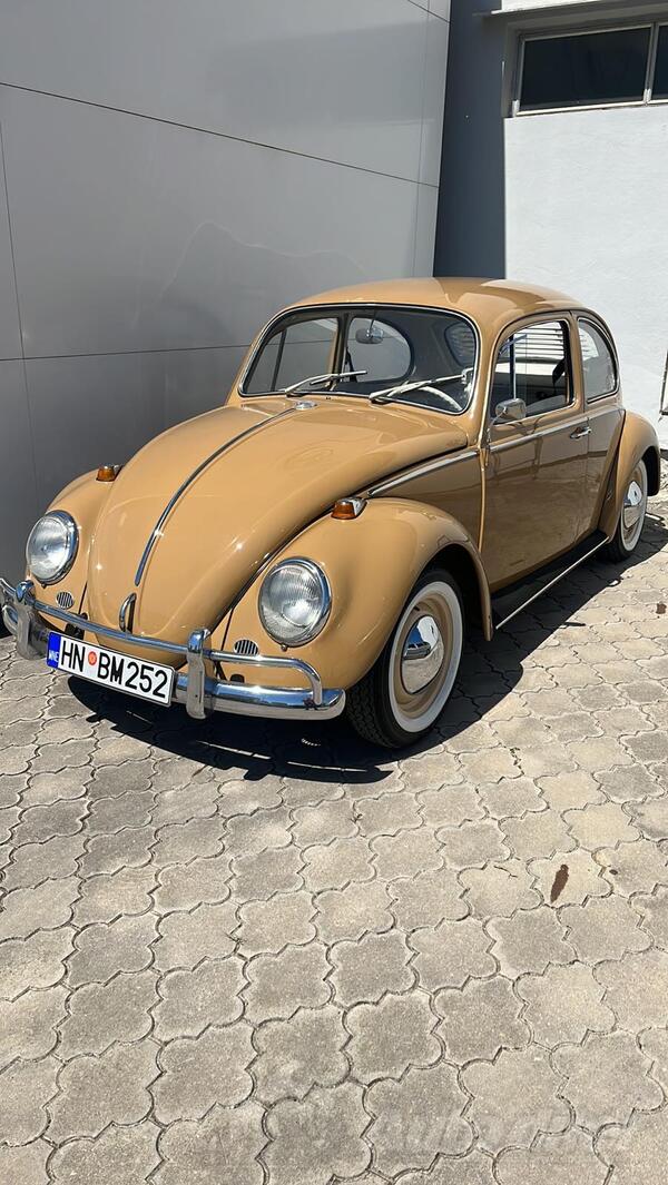 Volkswagen - Beetle - Vw bug