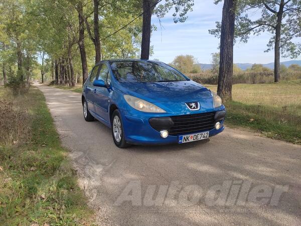 Peugeot - 307 - HDI
