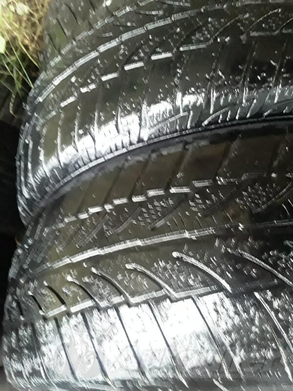 Sportiva - Ms - Zimska guma