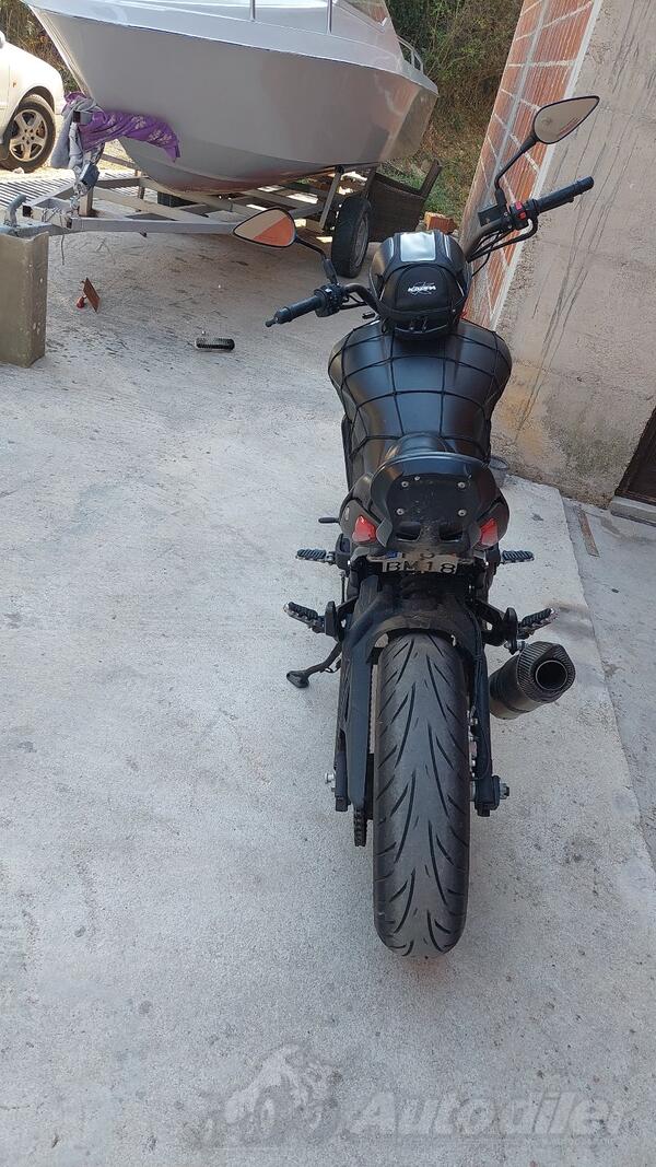 Benelli - 502c