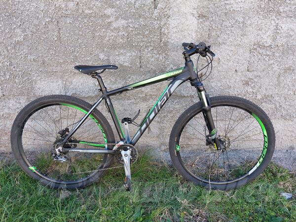 Polar - Tsunami 29 incha