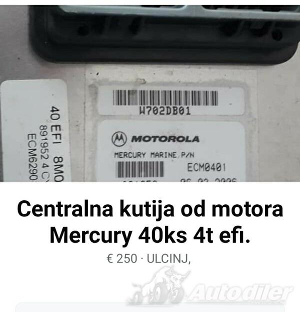 Martin - Mercury 40cv 4t