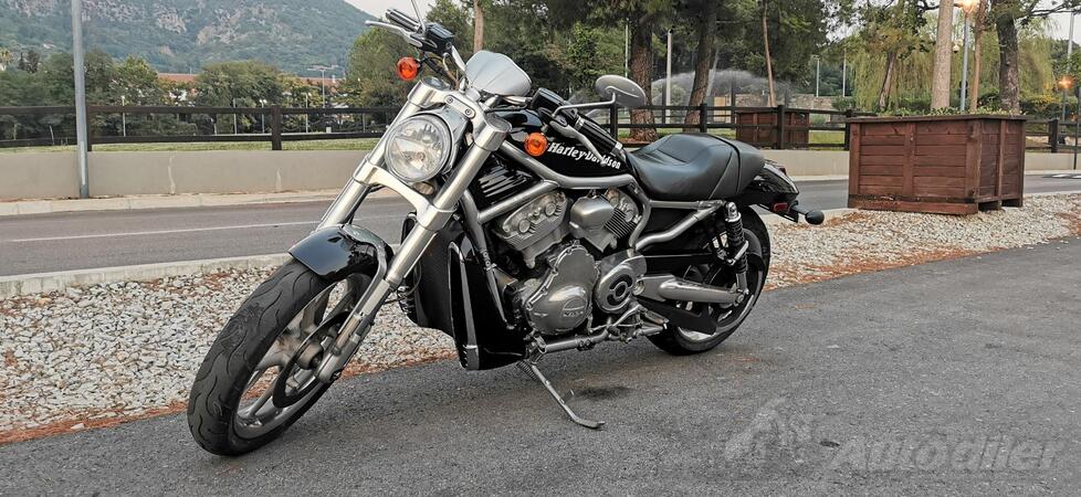 Harley-Davidson - VRSCR - Street rod