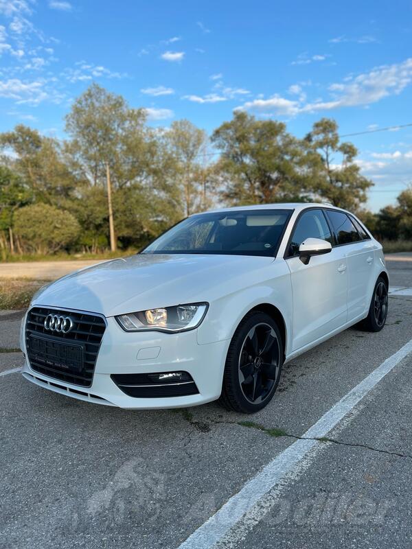 Audi - A3 - 1.6 TDI