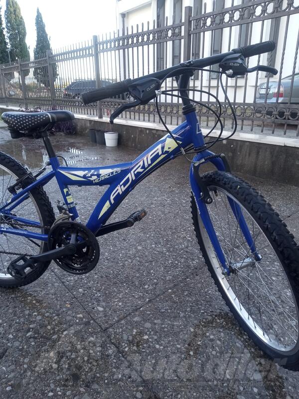 Mongoose - ADRIA 24