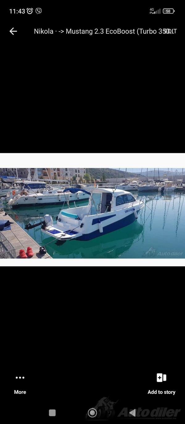 Ostalo - Bluestar Holiday