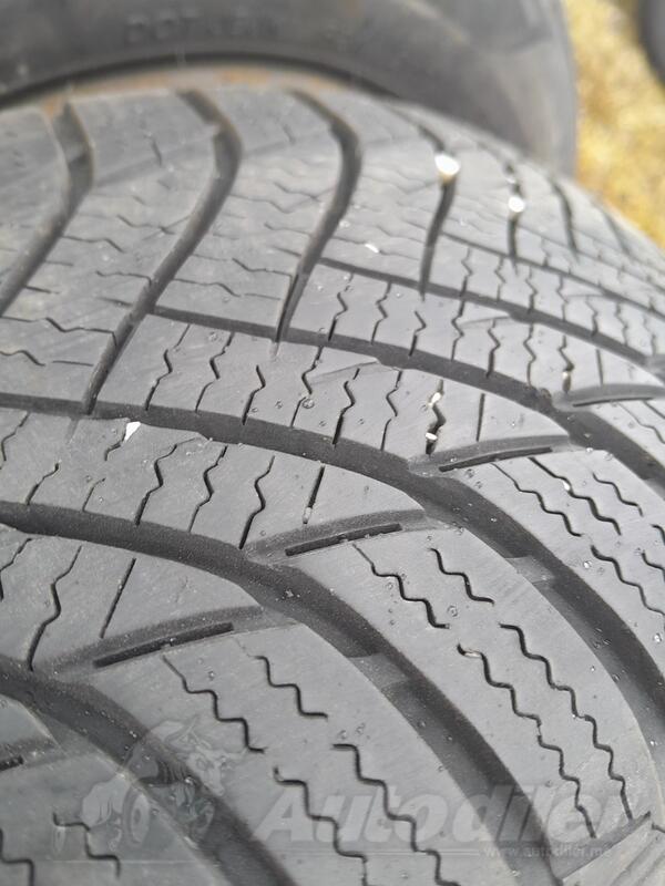 Minerva - 15 - Zimska guma