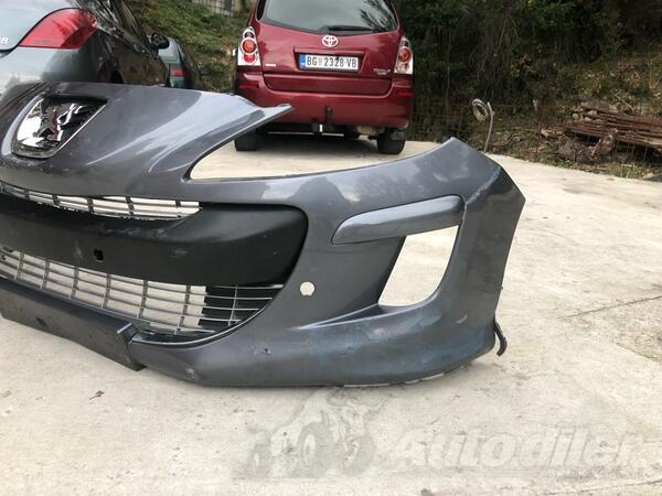 Branik za 308 god. 2008