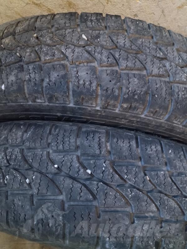 Tigar - vintera  - Univerzalna guma