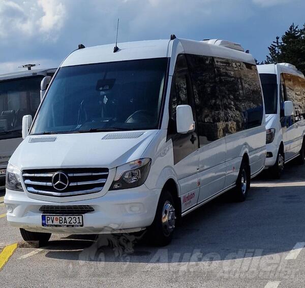 Mercedes Benz - 516
