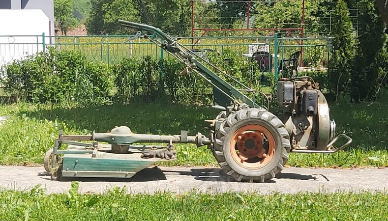 Goldoni - roto kosa-Labin