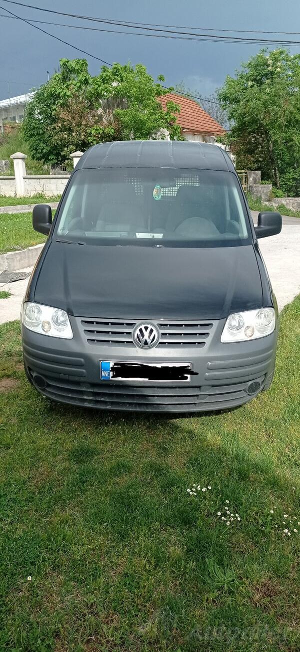Volkswagen - Cedy