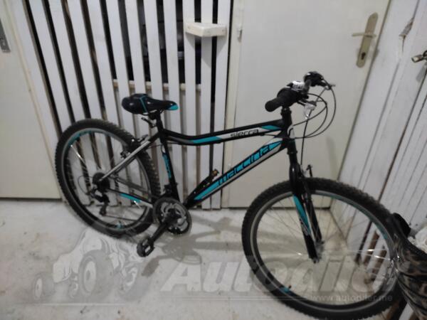 Ostalo - Macinna siera