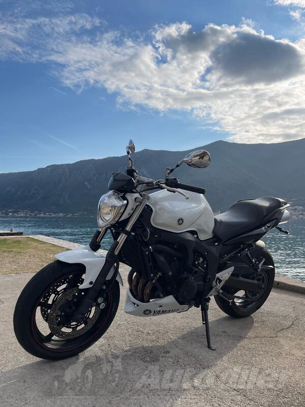 Yamaha - Fz600