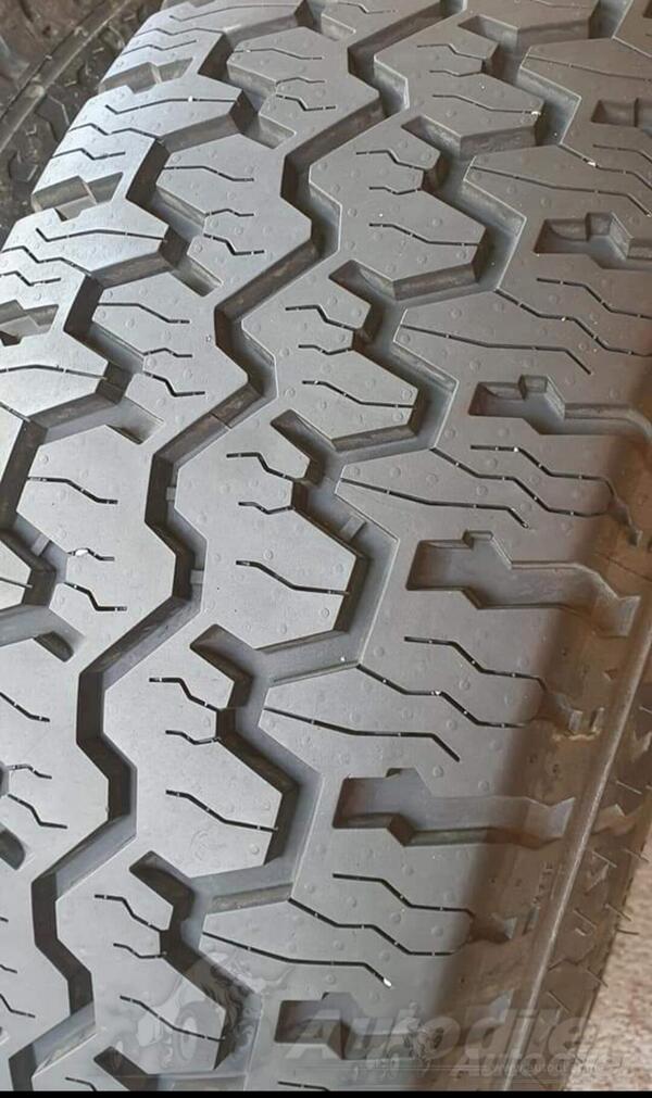 Tigar - Road Terren suv-4×4 - All-season tire