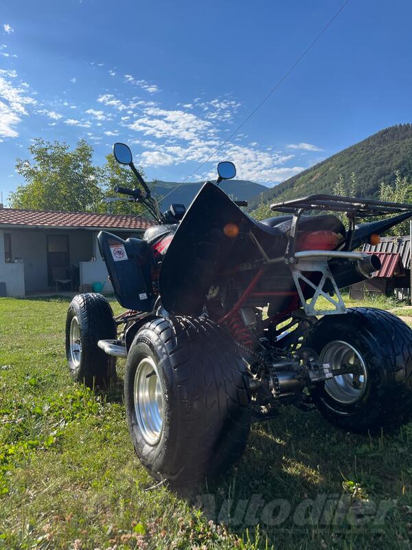 Yamaha - Raptor