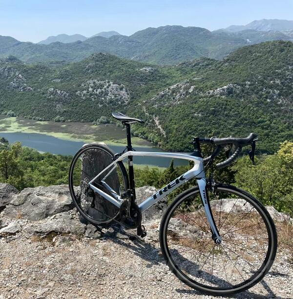 Trek - Domane 4.3 (WSD)
